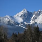 Ustav ekologie lesa odporuca statnym organom niekolko zmien pri zonaciach