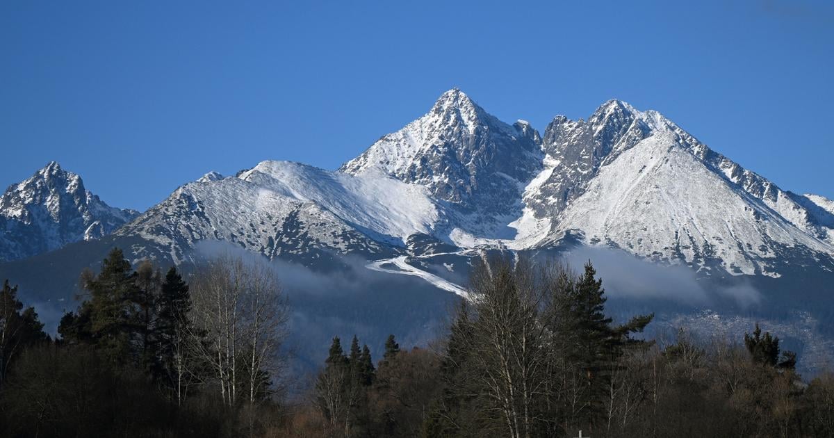 Ustav ekologie lesa odporuca statnym organom niekolko zmien pri zonaciach