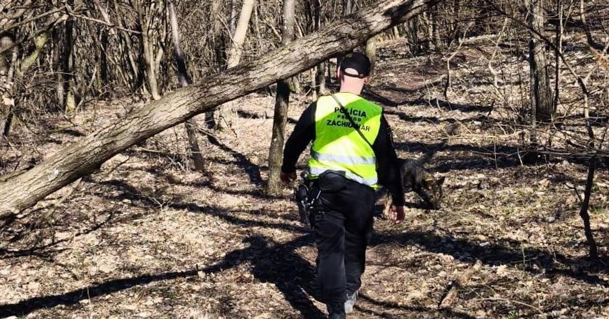 V okol pohoria Tribe sa had nezvestn mlad mu Polcia prehadva aj les