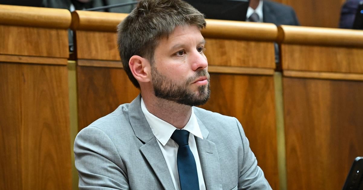 ak Simecka zostane na cele PS hnutie to moze oslabit este viac ukazal prieskum SCIO