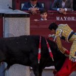 Byk usmrtil v arenne v spanielskej Malage byvaleho toreadora