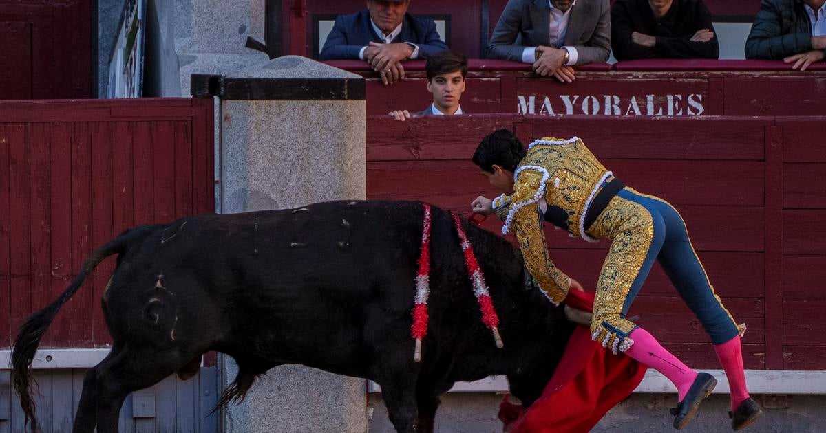 Byk usmrtil v arenne v spanielskej Malage byvaleho toreadora