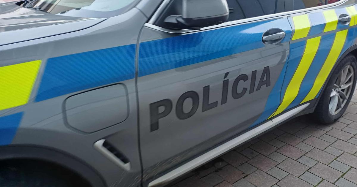 Policia zadrzala muza ktory sa v Bratislave vyhraza l elektrickym paralyzerom