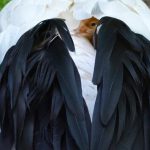 Bojnicka zoo ma novy prirastok rodicia si ho prisne strazia Expoziu museli v minulosti ohradit