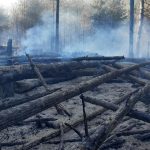Do likvidacie lesneho poziaru v Ceskom Svajciarsku povolali 500 hasicov