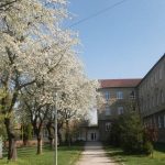 Peniaze na mzdy mali by pouit na vykurovanie koly Na odmench zamestnancom preerpali tisce eur