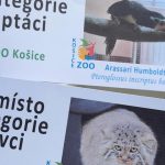 Zoologicka zahrada Kosice si z ceskoslovenskej sutaze Biely slon odniesla dve ocenenia