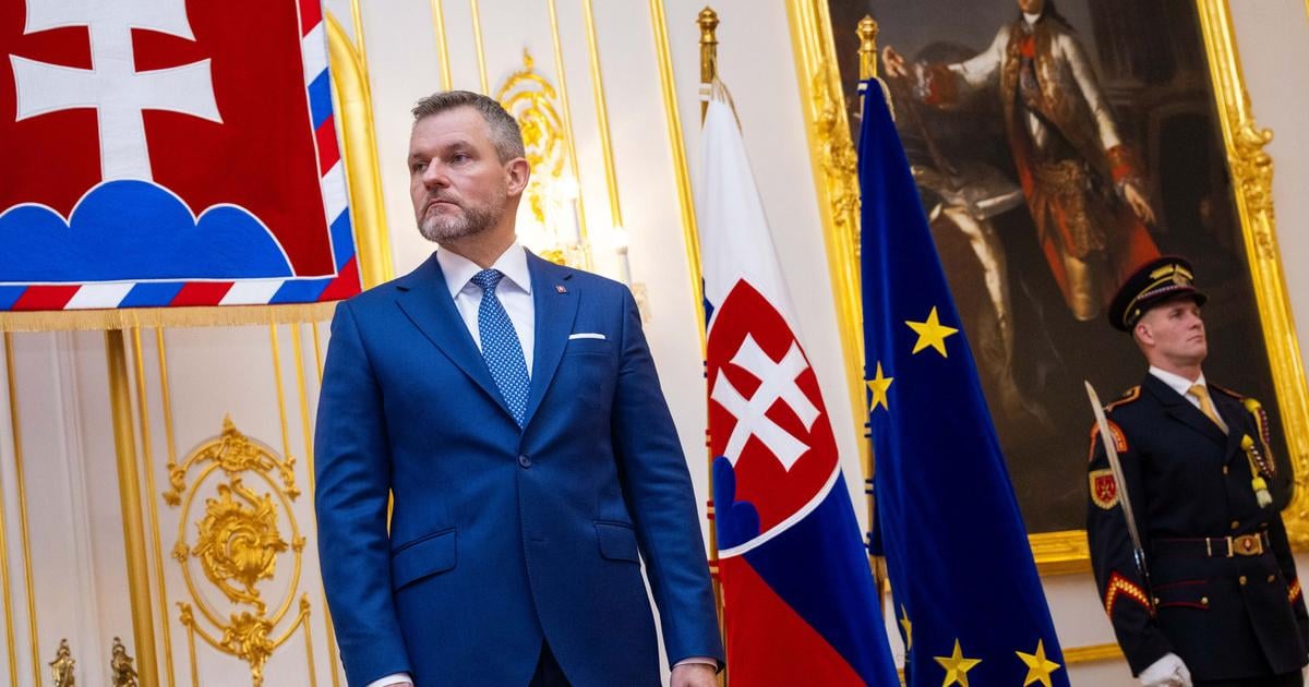 najdolezitejsou skupinou v nemocniciach su sestry a porodne asistentky uviedol prezident