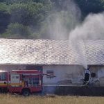 Hasici ochladzovali strechu hangara s tisickami kurciat vodou stovky z nich uhynuli
