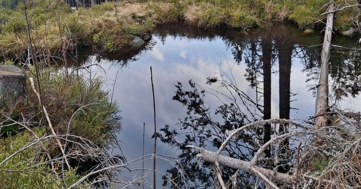 Mokradr v Jasnej zostane zachovana novu zjazdovku pri nej zuzia