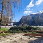 Stromy na Vajanskeho namestii vyvolali vasne Martinsky primator celi kritike za svoje vyjadrenia