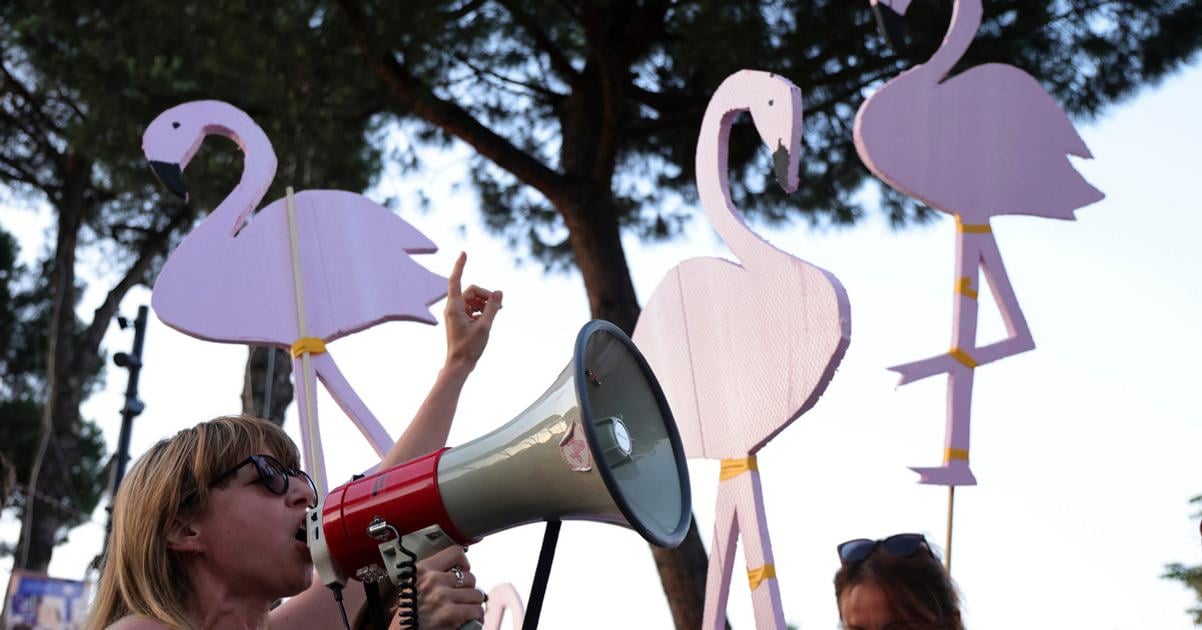 Uz nejde len o plameniaky Albanci sa vzburili vlada moze zastavit cestu do Unie