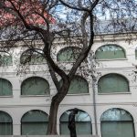 iniciativa slobodna narodna galeria podala podnet na parlamentny vybor pre kulturu a media