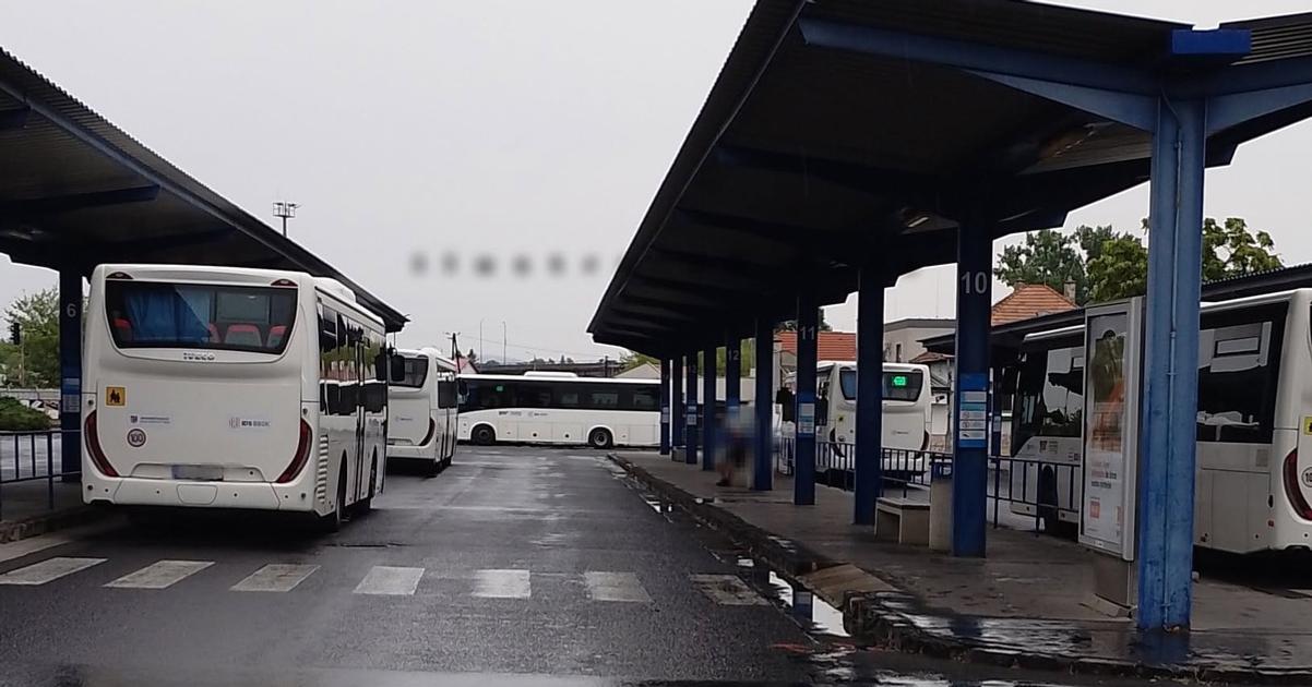 Chladnokrvny utok na stanici Mestsky policajt musel zasiahnu silou