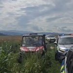 Najdeny chlapcek strateny v kukuricnom poli je nazive bol v lese