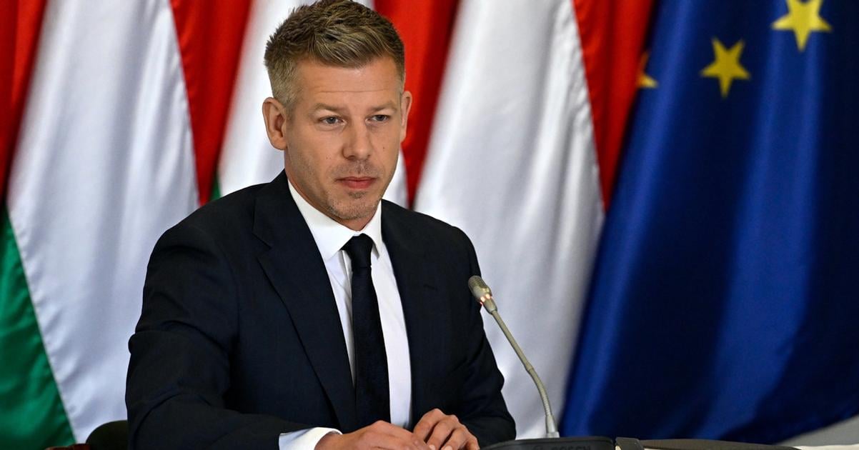 Sulyok vdy uprednostnval zaujmy Fideszu vyhlasil madarsky premier Magyar