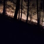 Ohen mohol napachat obrovske skody desiatky hasicov vyrazili k nocnemu poziaru lesa