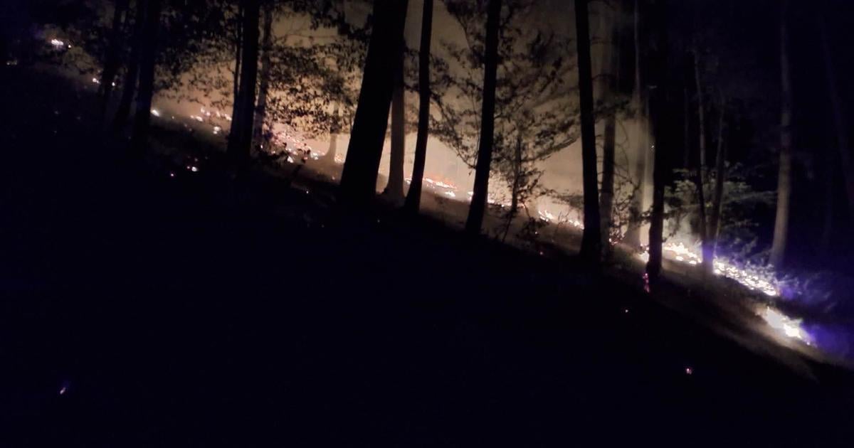 Ohen mohol napachat obrovske skody desiatky hasicov vyrazili k nocnemu poziaru lesa