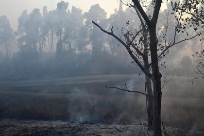 v belgickom prirodnom parku hautes fagnes zhorelo uz 3000 hektarov lesa